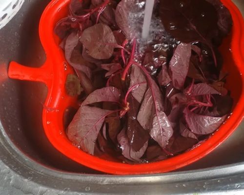 Rửa sạch rau dền sau khi nhặt để chế biến món canh