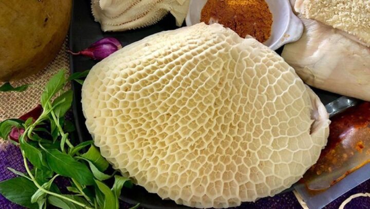 Sách bò tươi nguyên liệu chính để nấu món sách bò ngon
