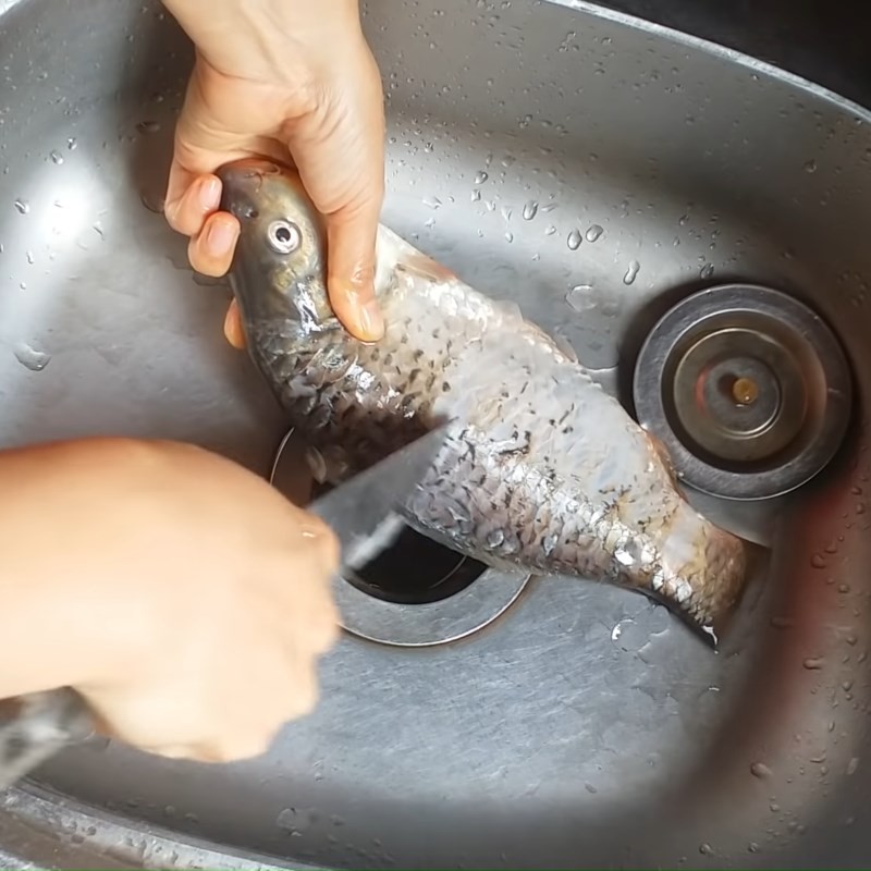 Rửa sạch cá chép sau khi sơ chế, đảm bảo vệ sinh cho món lẩu
