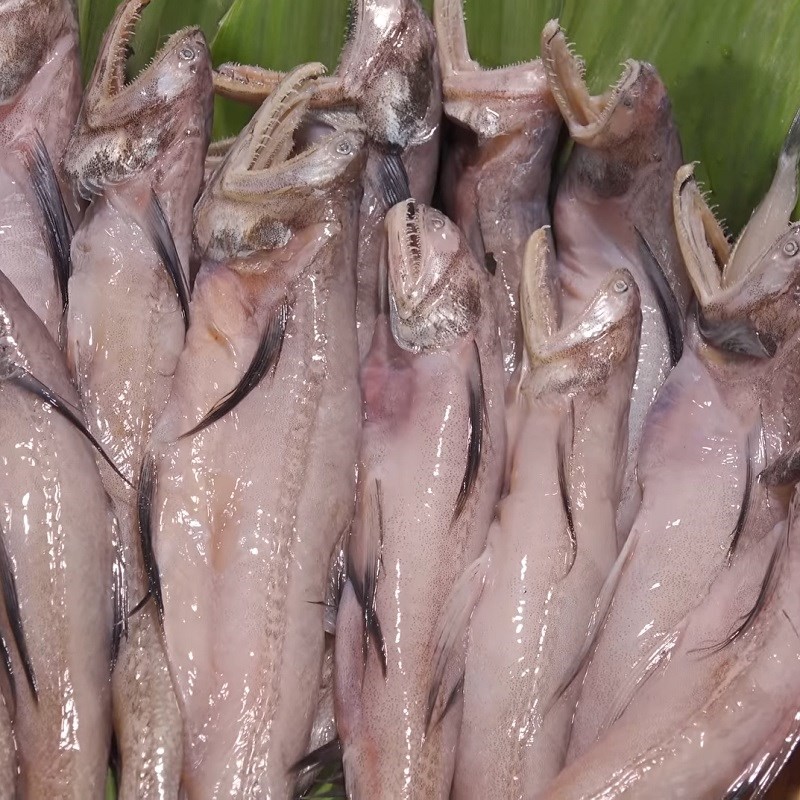 Cách sơ chế cá khoai sạch, loại bỏ nhớt và mùi tanh hiệu quả