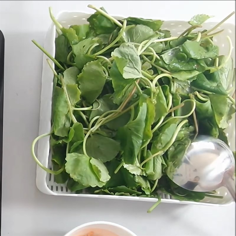Rau má tươi xanh sẵn sàng sơ chế