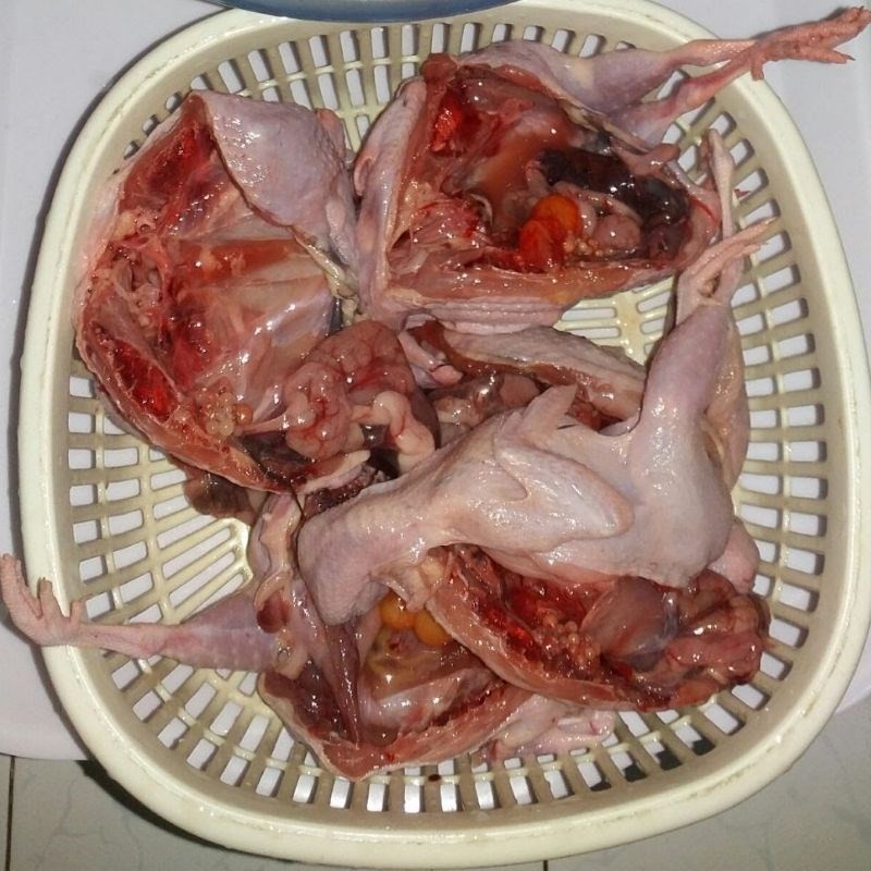 Sơ chế chim cút để nấu cháo chim cút