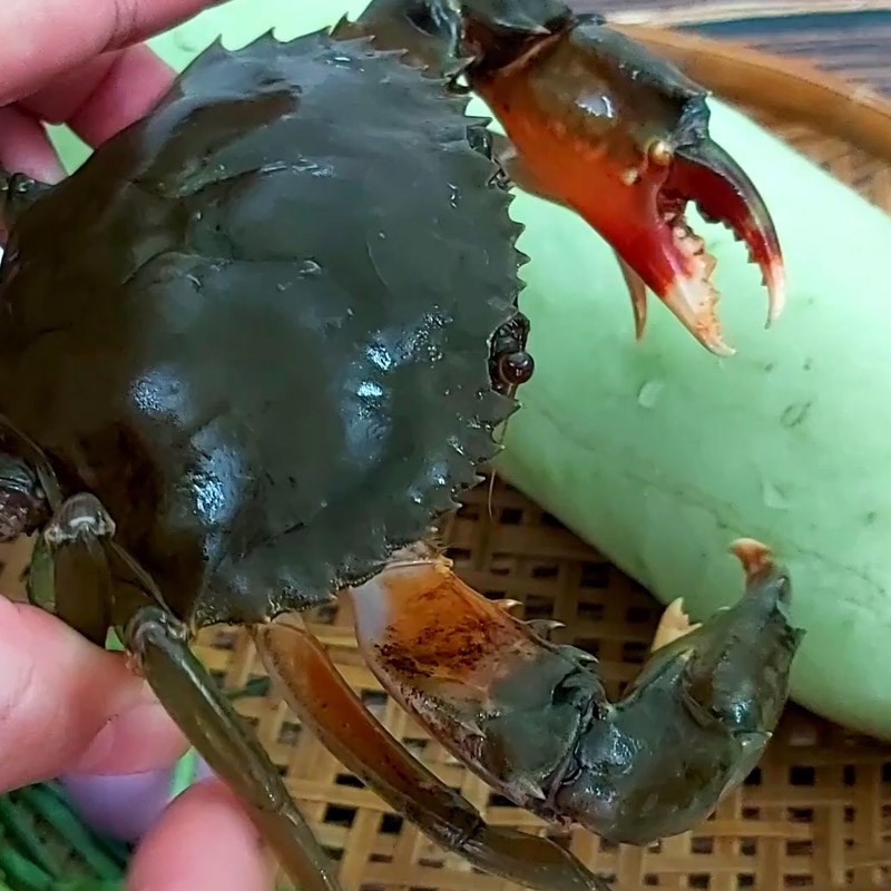 Hình ảnh chi tiết bước sơ chế cua biển sạch sẽ, sẵn sàng cho món cua nấu bầu