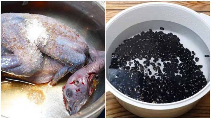 Hướng dẫn sơ chế gà ác và đậu đen đúng chuẩn cho món gà hầm đậu đen