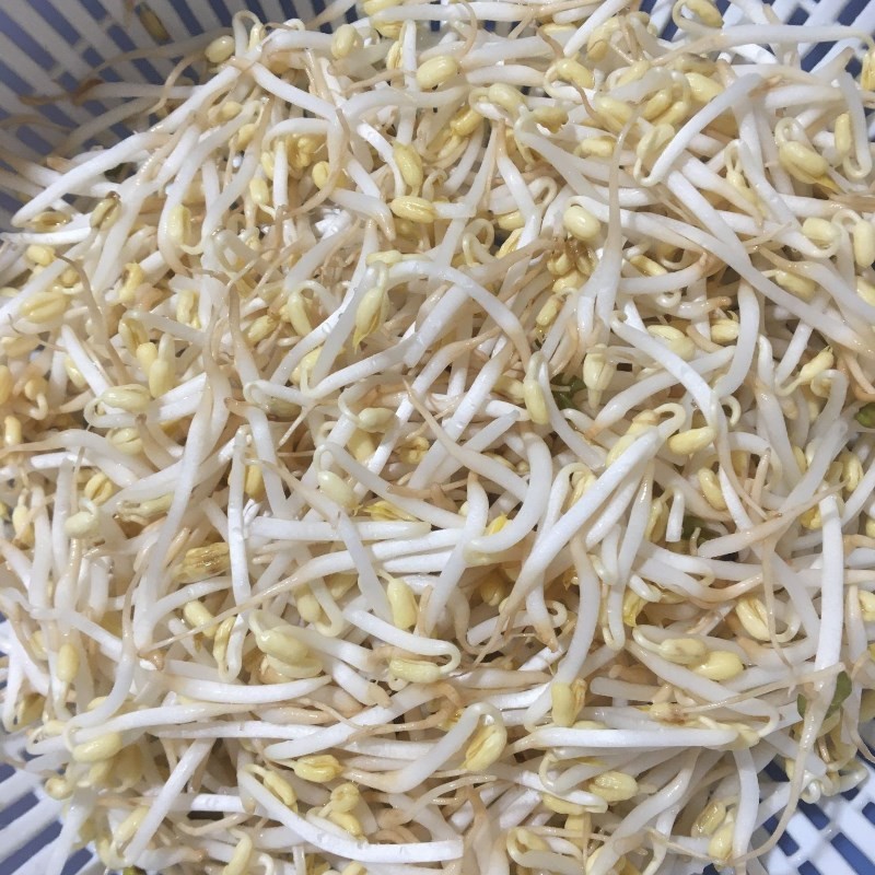 Sơ chế giá đỗ tươi sạch để nấu cháo cà rốt