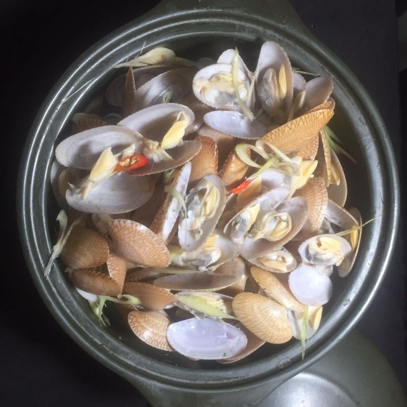 Sơ chế sò lụa trước khi nấu cháo