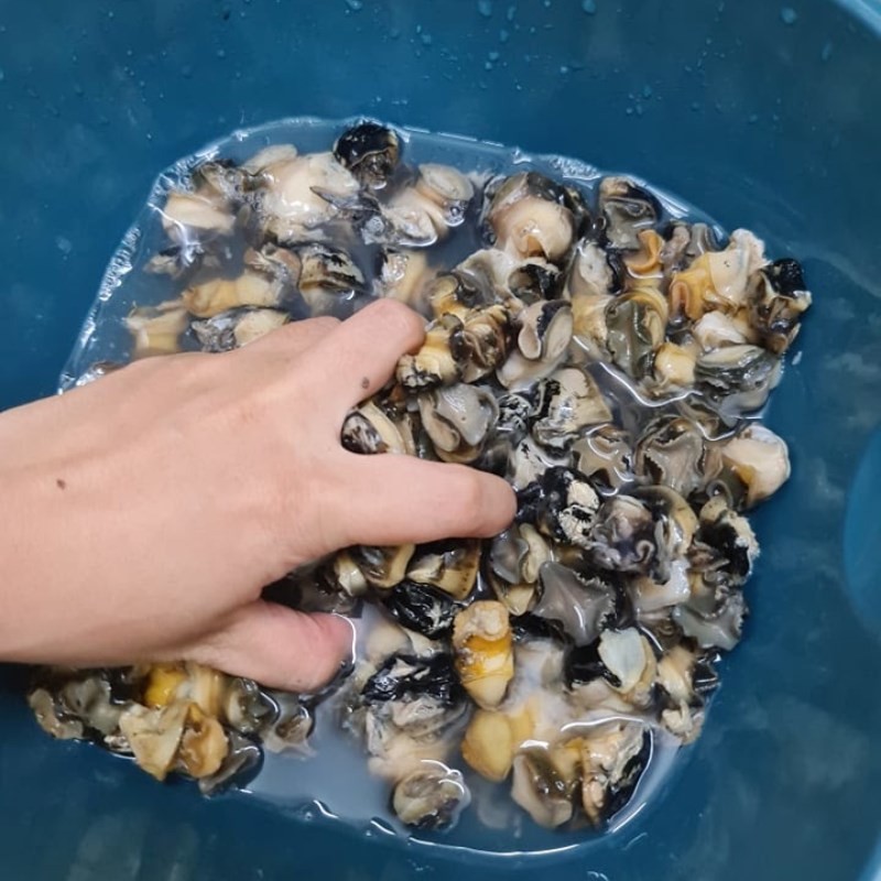 Sơ chế ốc bươu tươi sạch cho món bún ốc sườn