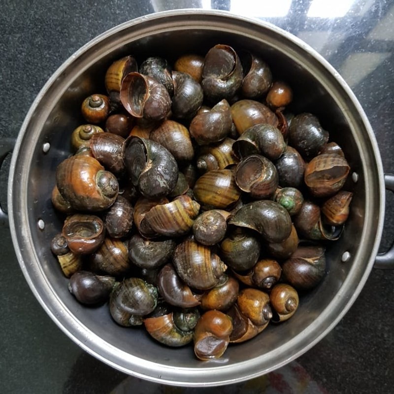 Khêu lấy thịt ốc bươu tươi sau khi luộc sơ, một bước quan trọng trong cách làm bún ốc măng.