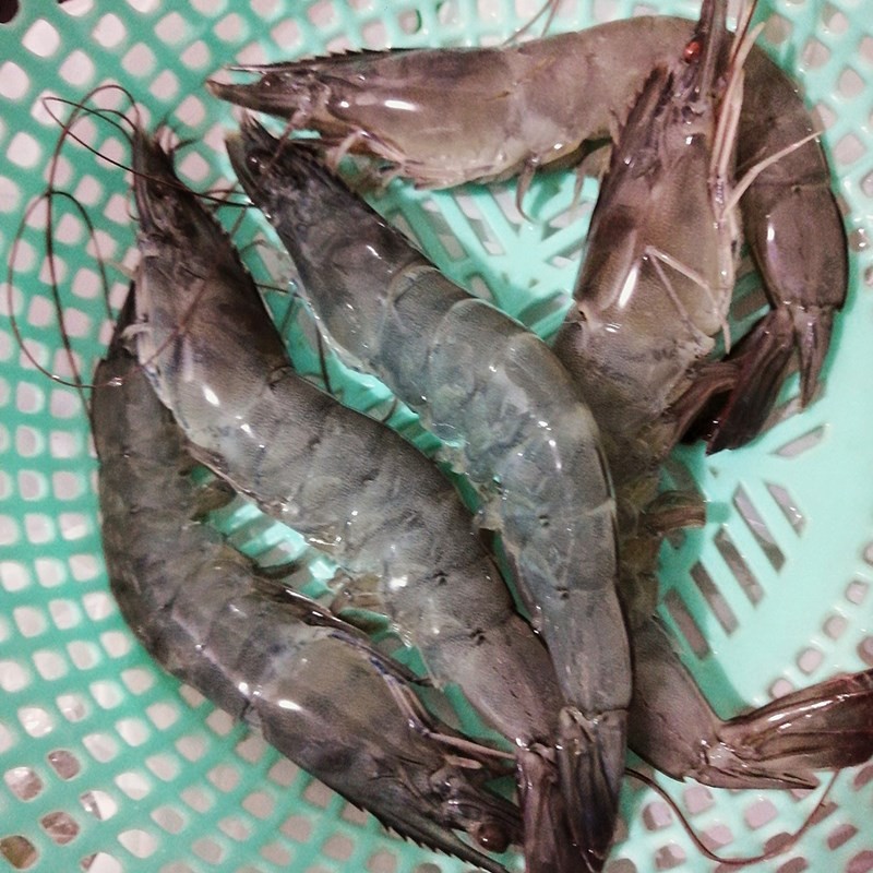 Bóc chỉ đen tôm