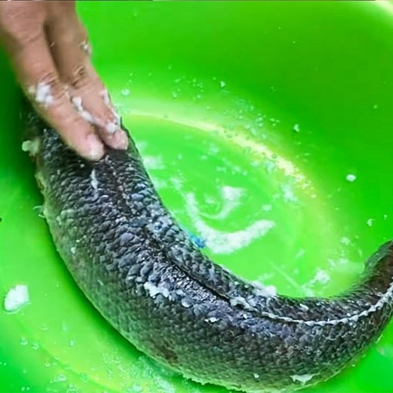 Sơ chế cá lóc sạch sẽ, chuẩn bị cho món cháo canh cá lóc