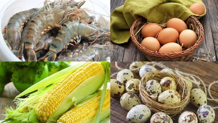 Nguyên liệu chính làm súp tôm bắp ngô