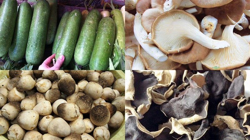 Nguyên liệu đa dạng cho cách nấu canh bí đao ngon với nấm