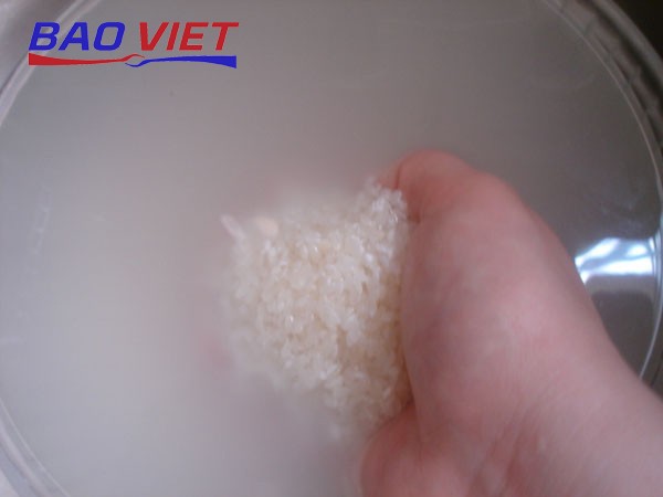 Thao tác vo gạo tấm nhẹ nhàng, chuẩn bị cho cách nấu cơm tấm bán