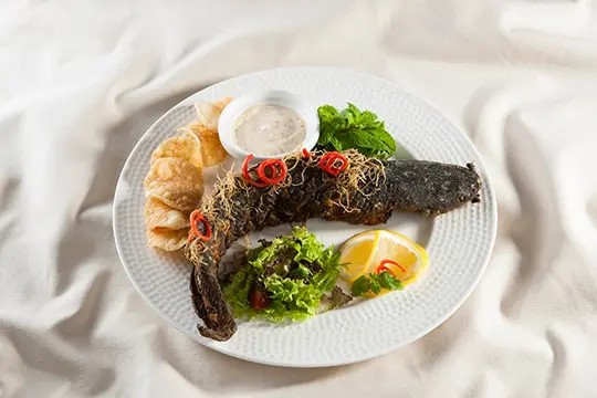 Cá trê chiên giòn rụm, món ăn đơn giản hàng ngày hấp dẫn mọi lứa tuổi