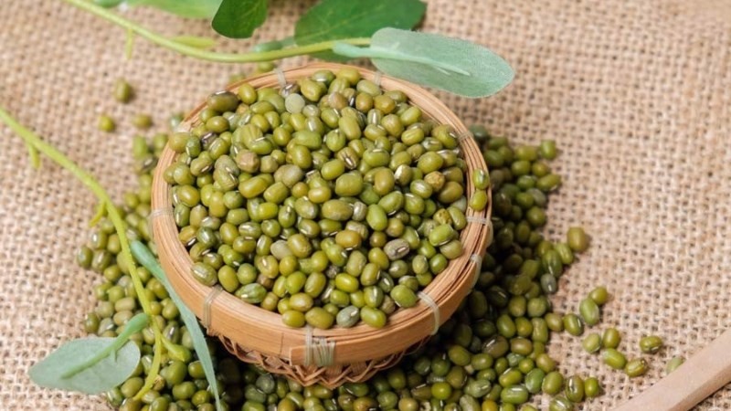 Ủ đậu xanh trong bình giữ nhiệt