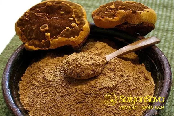 Nấm thượng hoàng dạng bột giúp tối đa hiệu quả khi sử dụng - cách sử dụng nấm thượng hoàng