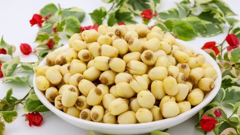Hạt sen to tròn và đều