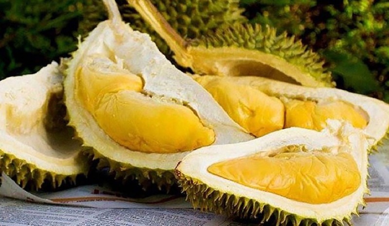 Múi sầu riêng nhiều thịt