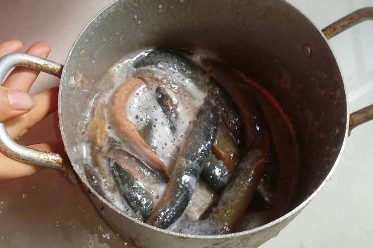 cá chạch và các gia vị