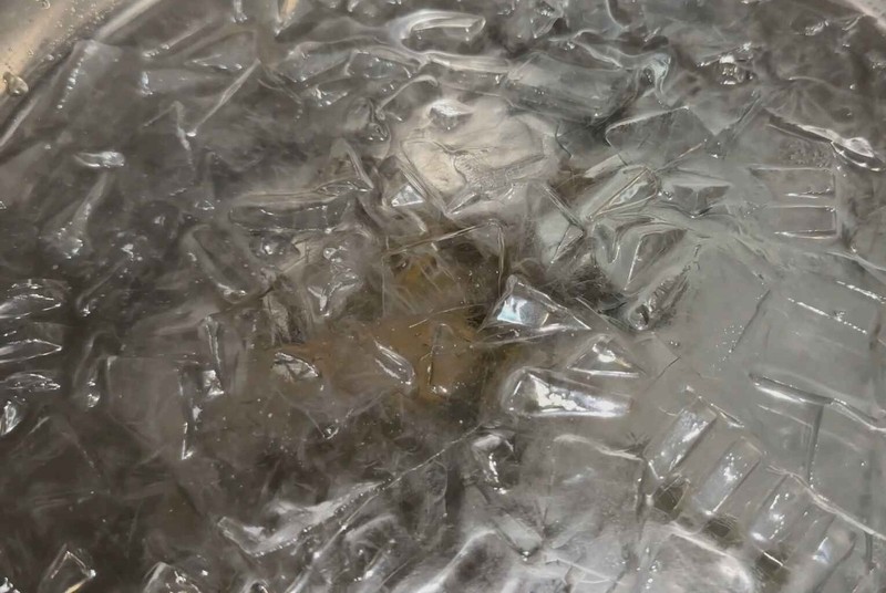 cách nấu hải sâm hầm thuốc bắc 6