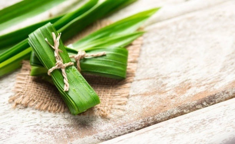 Lá dứa tươi tạo hương thơm cho trà bí đao