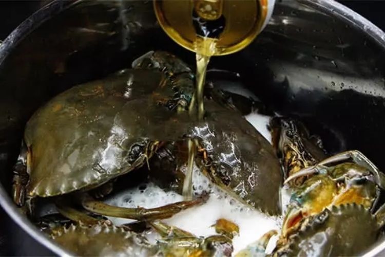 Các loại bia phù hợp cho công thức cách nấu vịt hầm bia