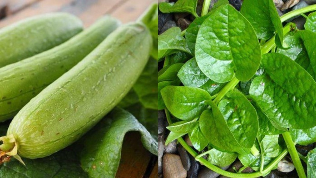 Các loại nguyên liệu tươi xanh cho món canh mướp mồng tơi đậm đà