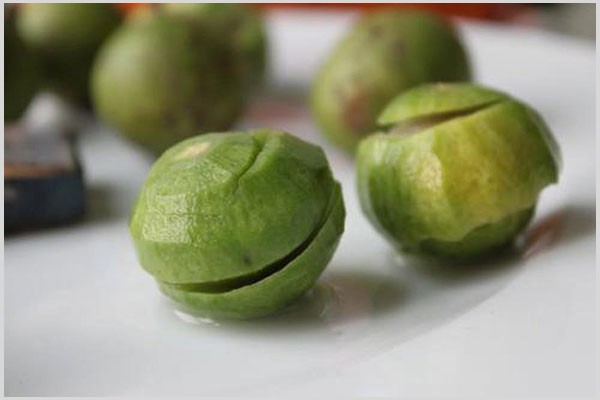 Sấu xanh được khía vỏ, sẵn sàng cho công đoạn nấu canh ngao chua.