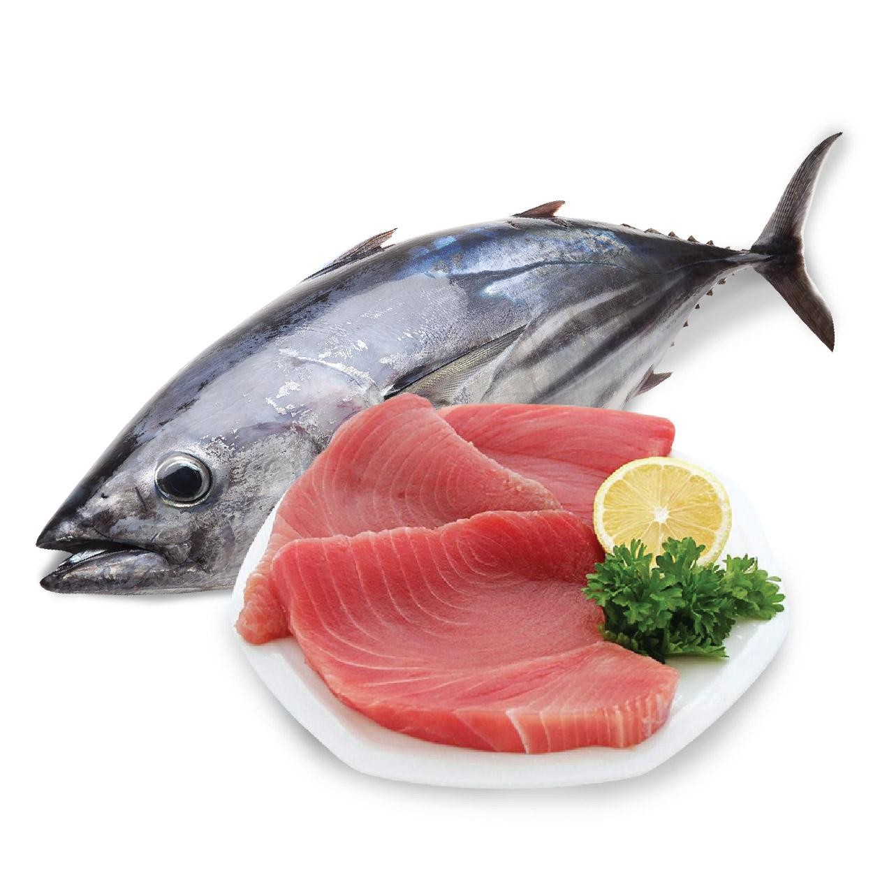 Cá ngừ đại dương tươi nguyên con, biểu tượng của hải sản miền Trung