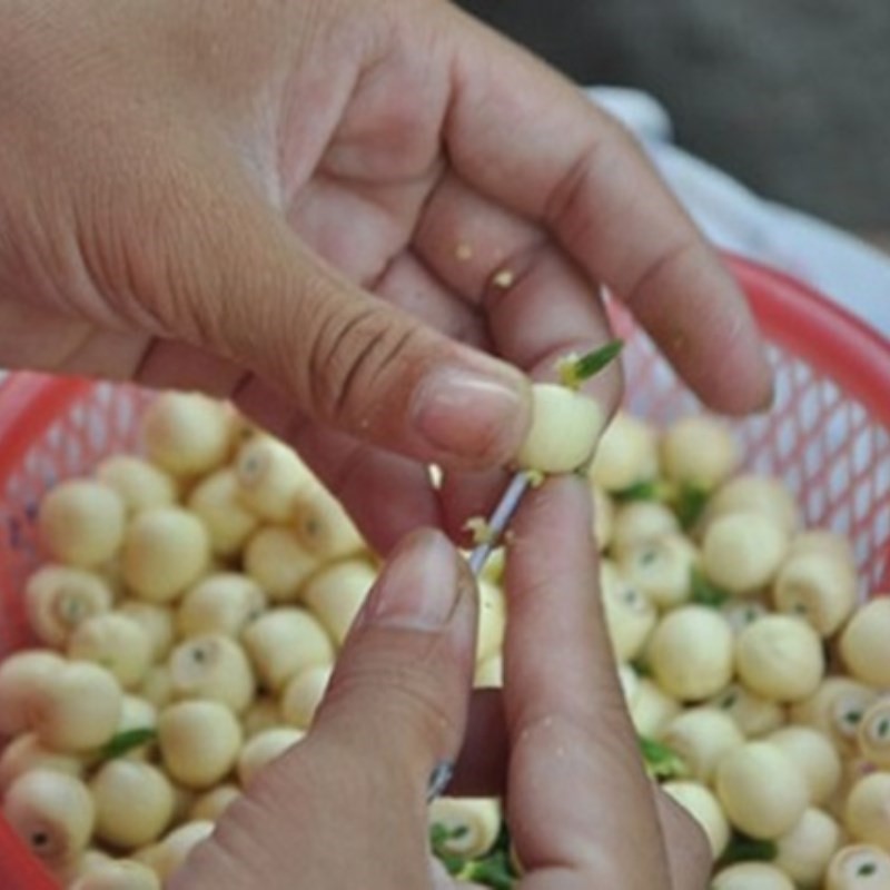 Sơ chế hạt sen tươi, loại bỏ tâm sen