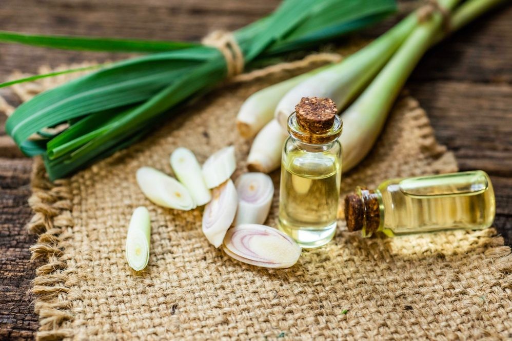 Sả có đặc tính chống oxy hóa