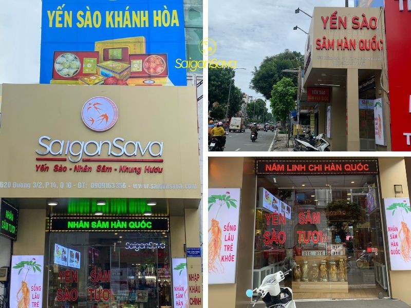 SaigonSava - Địa chỉ cung cấp nấm thượng hoàng Hàn Quốc uy tín, chất lượng