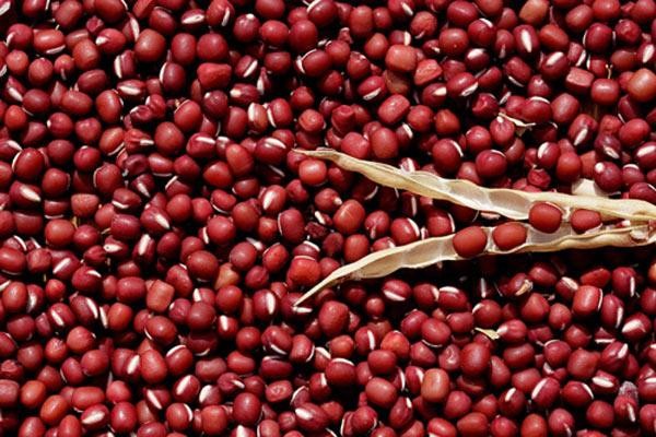 Hạt đậu đỏ (xích tiểu đậu) nguyên chất, là nguyên liệu quan trọng trong các món chay thực dưỡng, cung cấp protein và chất xơ.