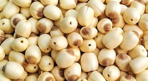 hạt sen khô chuẩn bị cho biến tấu chè đậu xanh bột sắn dây