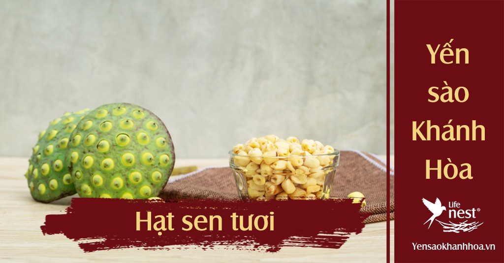 Hạt sen tươi non, nguyên liệu không thể thiếu để học cách nấu chè tổ yến hạt sen