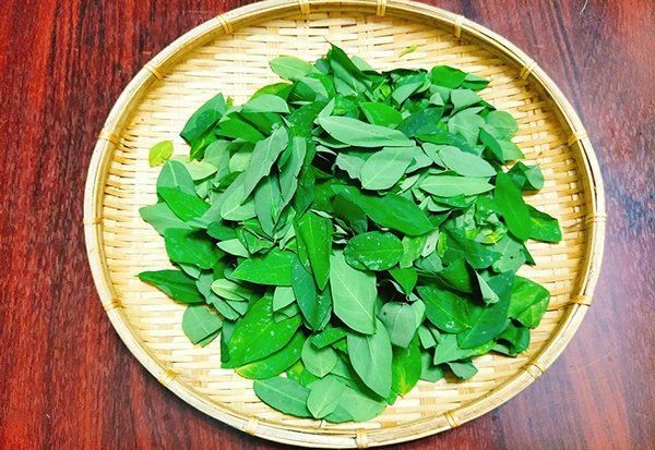 Rau ngót đã vò nhẹ nhàng để chuẩn bị nấu canh