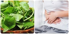 Sơ chế rau má và các nguyên liệu cho món canh rau má không bị đắng