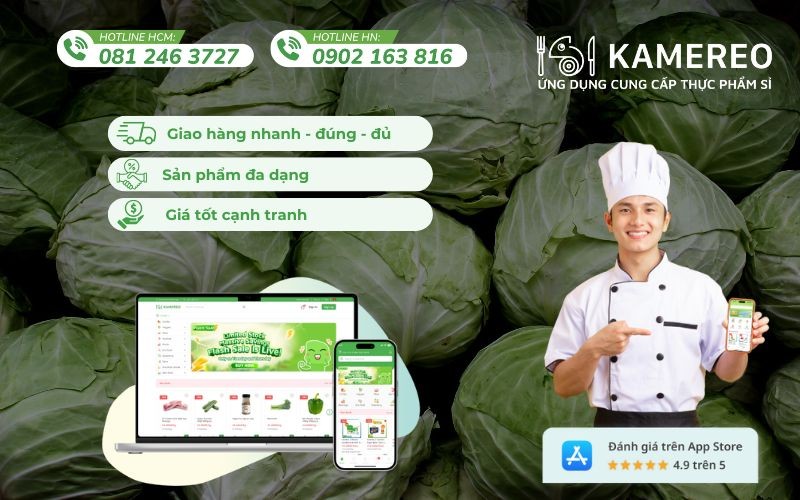 Kamereo cung cấp bắp cải tươi ngon, giá tốt và có đầy đủ hóa đơn VAT
