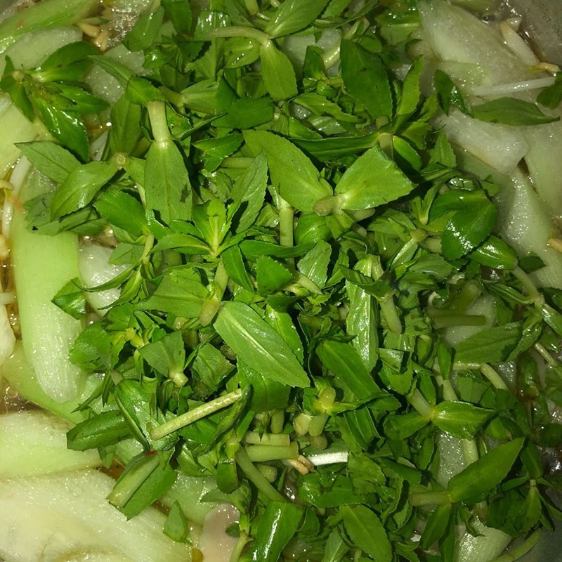 Canh chua nấm chay sôi bùng và chuẩn bị hoàn thành