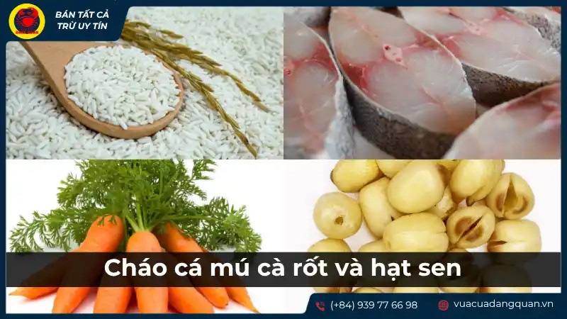 Các nguyên liệu tươi ngon như cá mú, cà rốt, hạt sen và gạo, sẵn sàng cho món cháo cá mú cà rốt hạt sen cho bé.