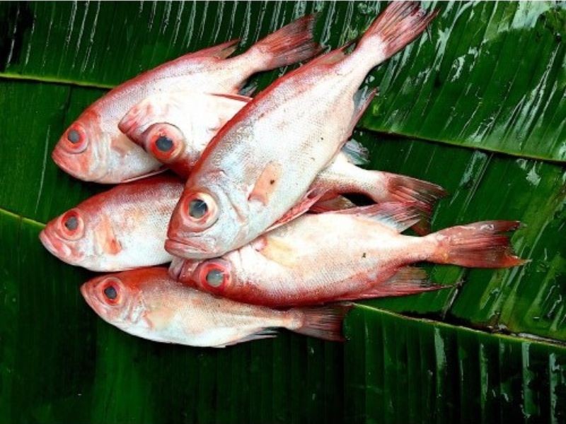 Nguyên liệu dùng để chế biến món cá bã trầu nướng giấy bạc