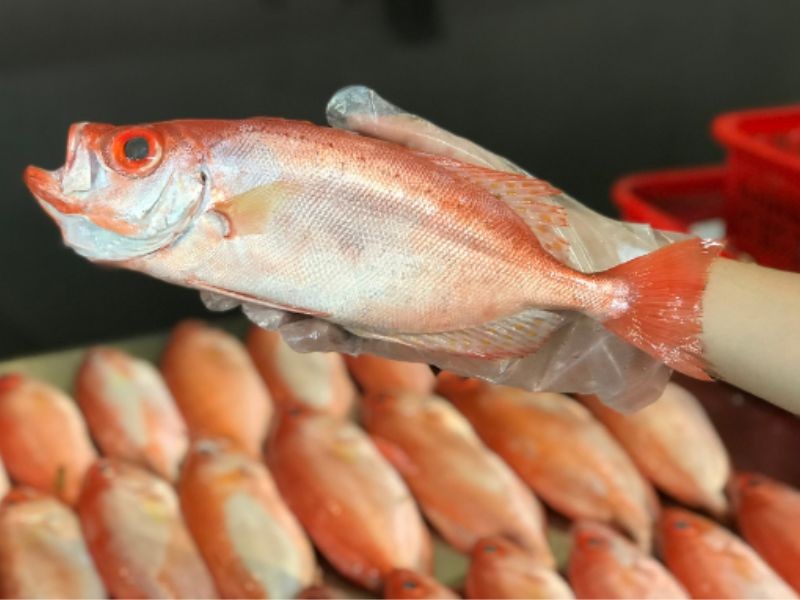 Nguyên liệu tươi ngon chuẩn bị cho món cá bã trầu rim mặn ngọt đậm đà, hấp dẫn