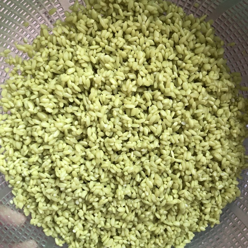 Gạo nếp được ngâm trong nước màu xanh lá cây