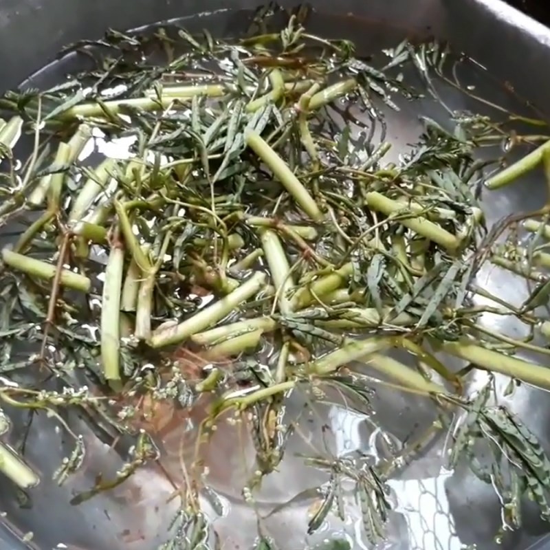 Sơ chế rau nhút và các loại rau thơm