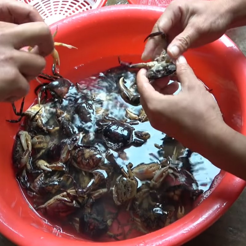 Sơ chế và làm sạch cua đồng cho món lẩu cháo