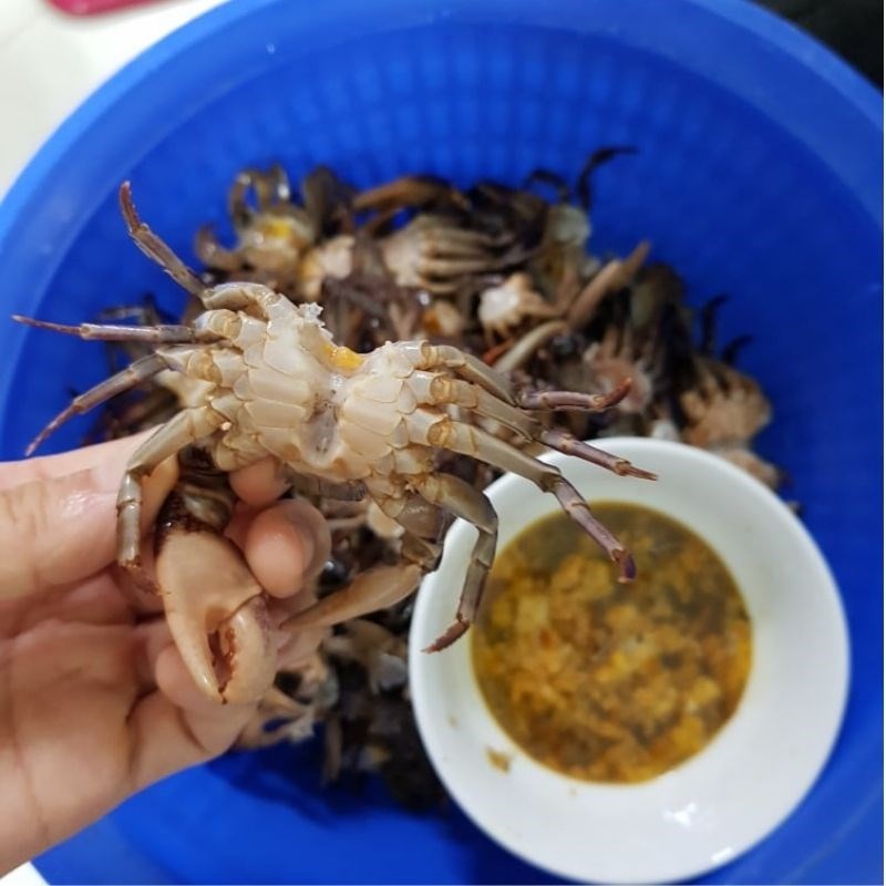 Sơ chế cua đồng sạch sẽ, chuẩn bị cho quá trình lọc riêu trong cách nấu canh cua mồng tơi mướp