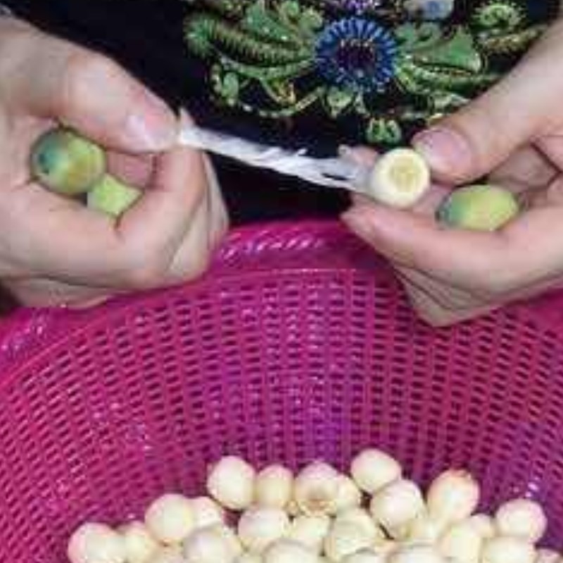 Rửa sạch hạt sen đã sơ chế, sẵn sàng cho món xôi hoa đậu biếc