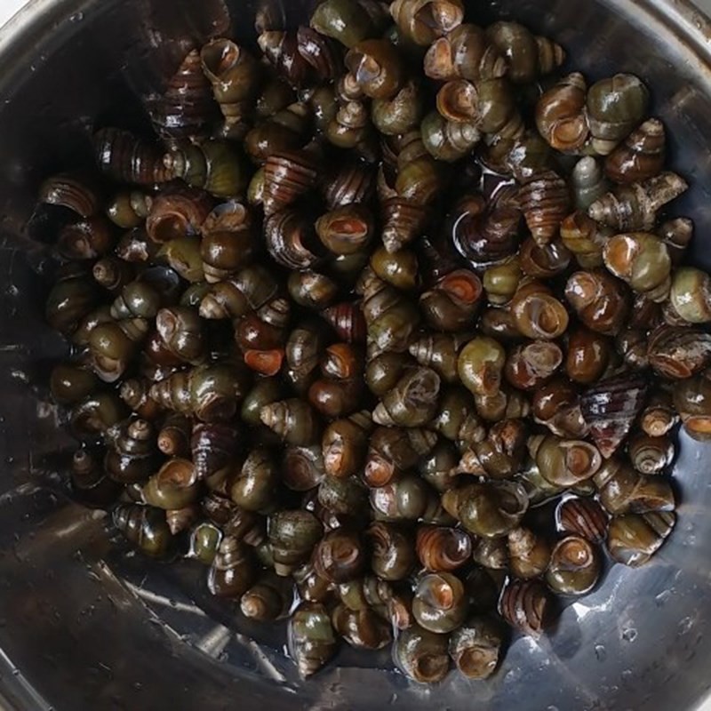 Sơ chế và luộc ốc sạch cho món bún riêu cua bắp bò ốc