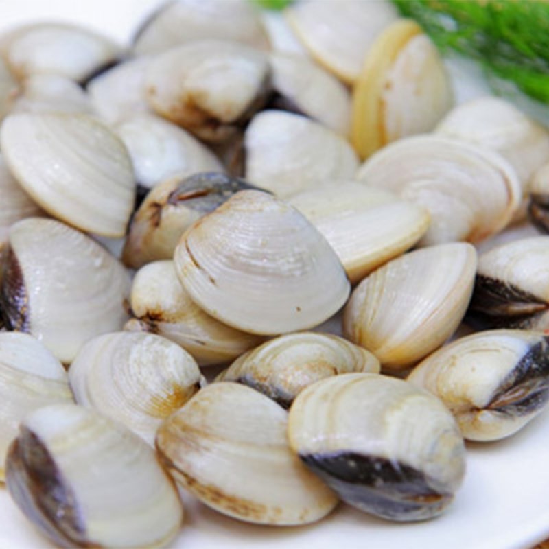 Hình ảnh ngao đang được sơ chế