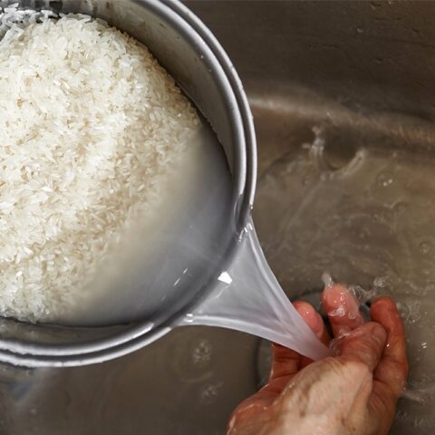 Sơ chế gạo để nấu cháo trứng bắc thảo thịt bằm